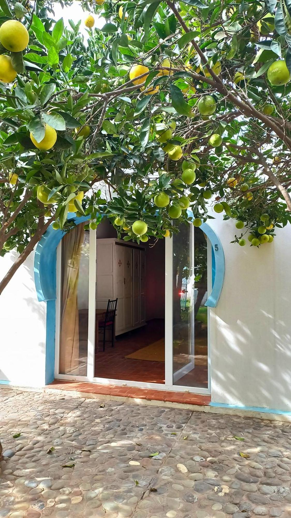 Rayani Maison D'Hotes Chozas 외부 사진